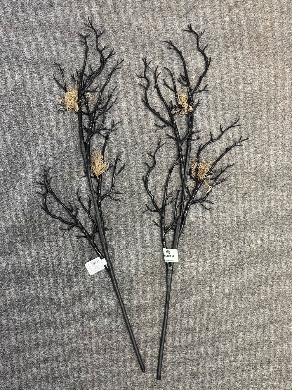 Bloom Black Decorative Branch Stems with Natural Nest Accents